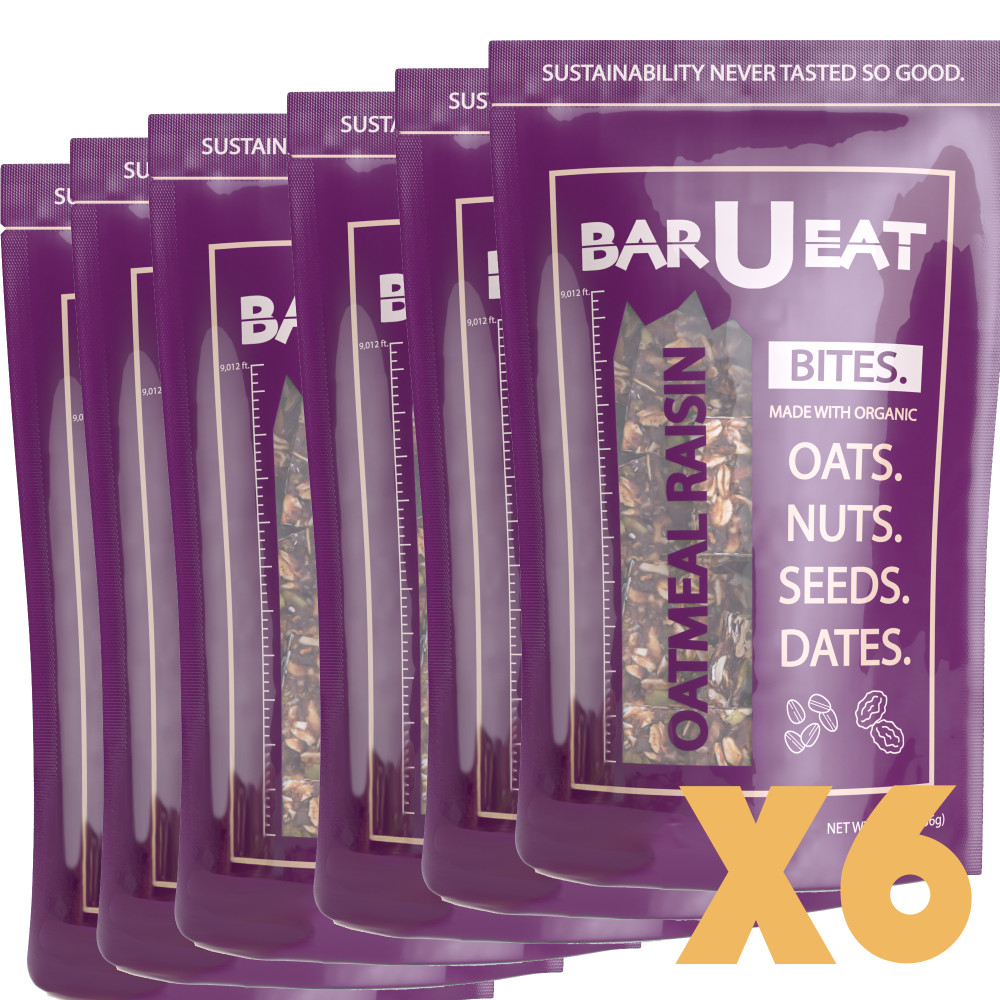 oatmeal raisin bites 6 pack