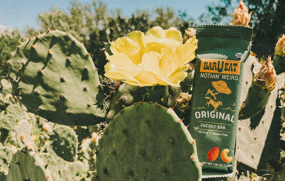 Healthy snack in cactus