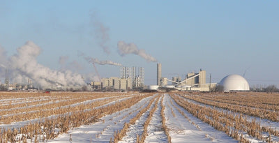 Sugary Saga: High Fructose Corn Syrup's Origins and Impacts