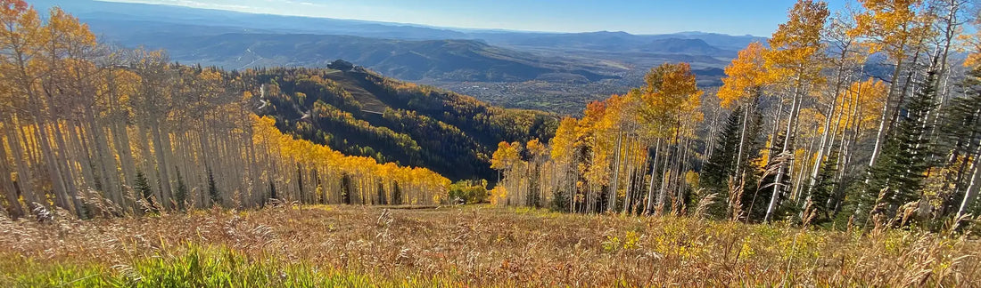 Autumn in Steamboat