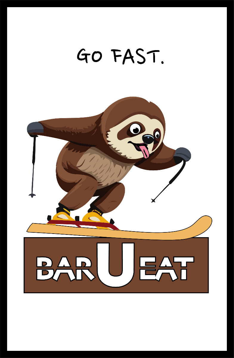 Sidney the skiing sloth