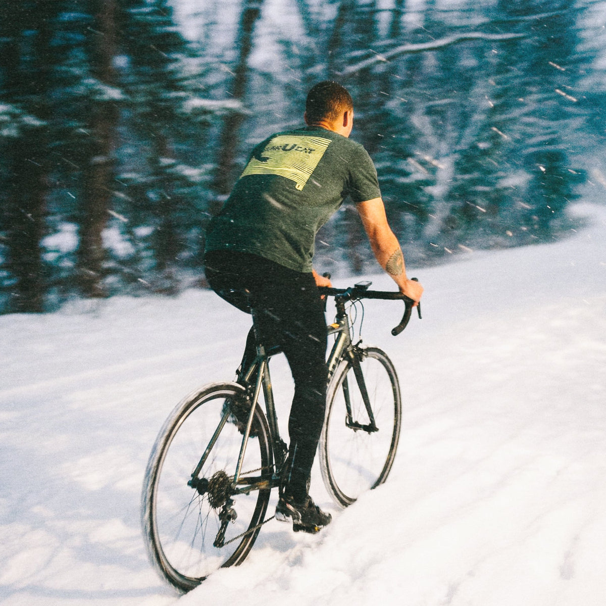 barueat Person cycling on a snowy path with trees in the background