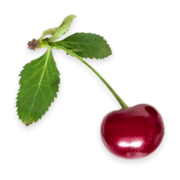 cherry