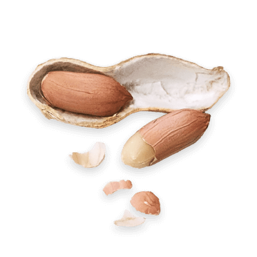 peanuts