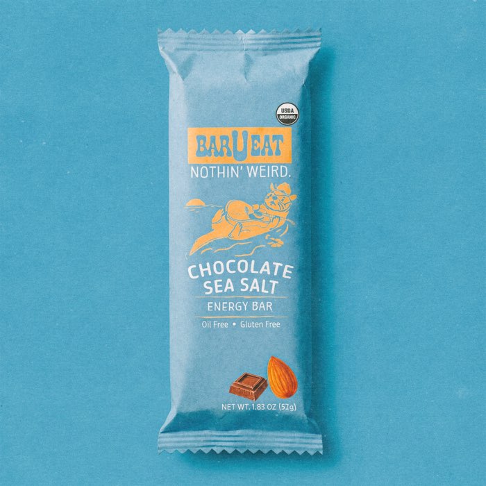 Chocolate Sea Salt organic energy bar