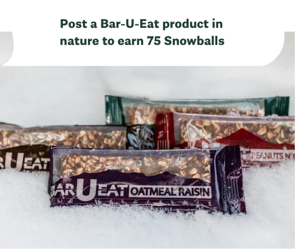 photos of bars in the snow